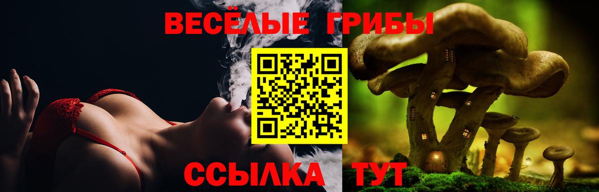 Галлюциногенные грибы Psilocybe Усинск